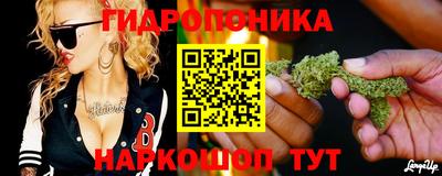 СК Жуковский